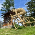 IMG-20240621-WA0010